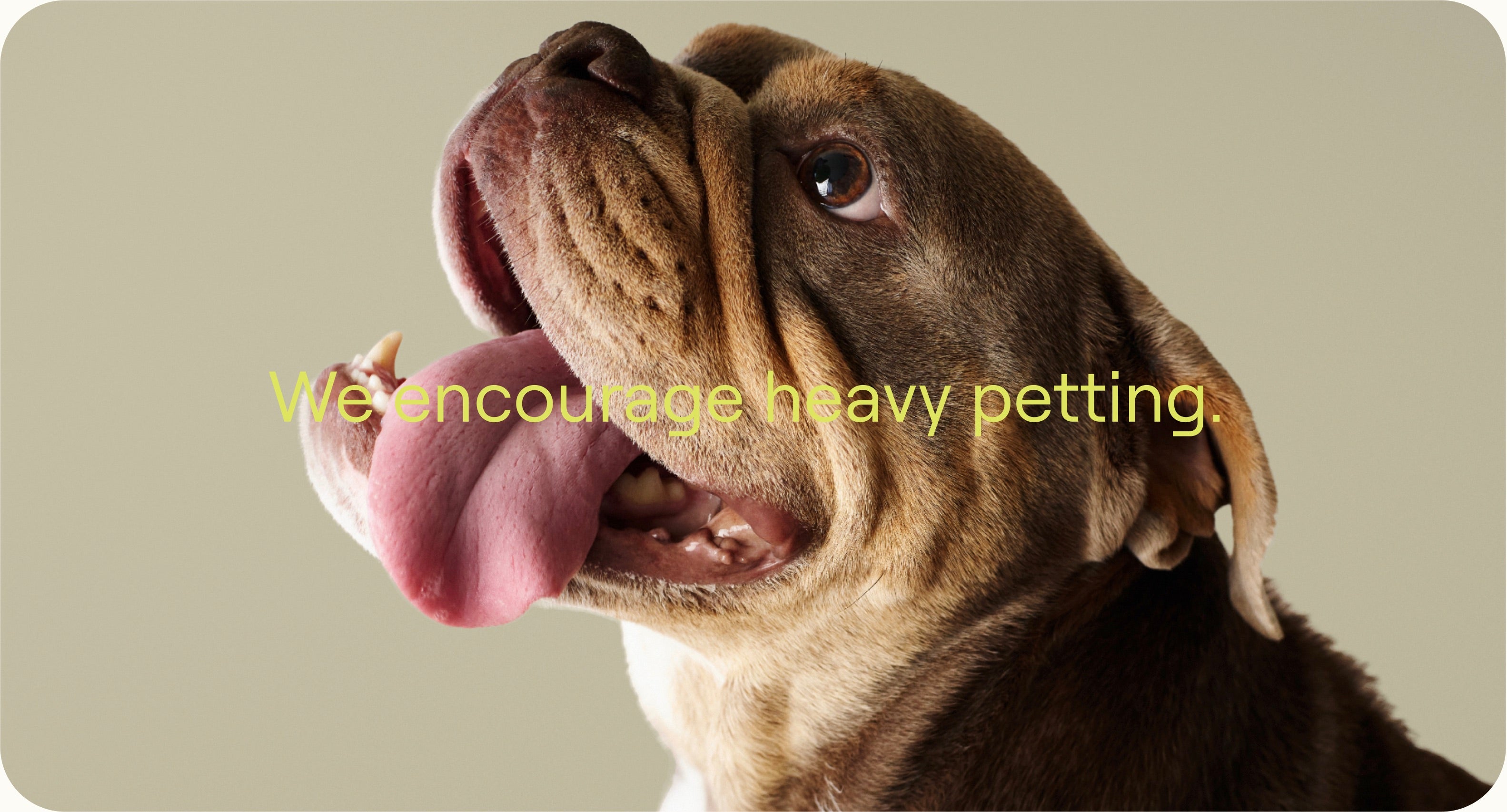 WE ENCOURAGE HEAVY PETTING