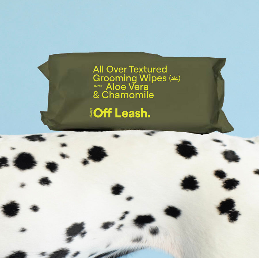 Package of All Over Textured Grooming Wipes with a Dalmatian dog in the foreground