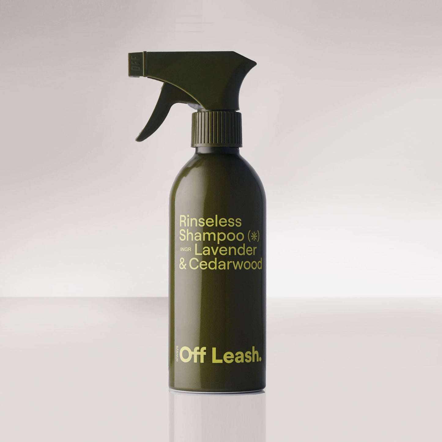 Rinseless Shampoo PDP 01