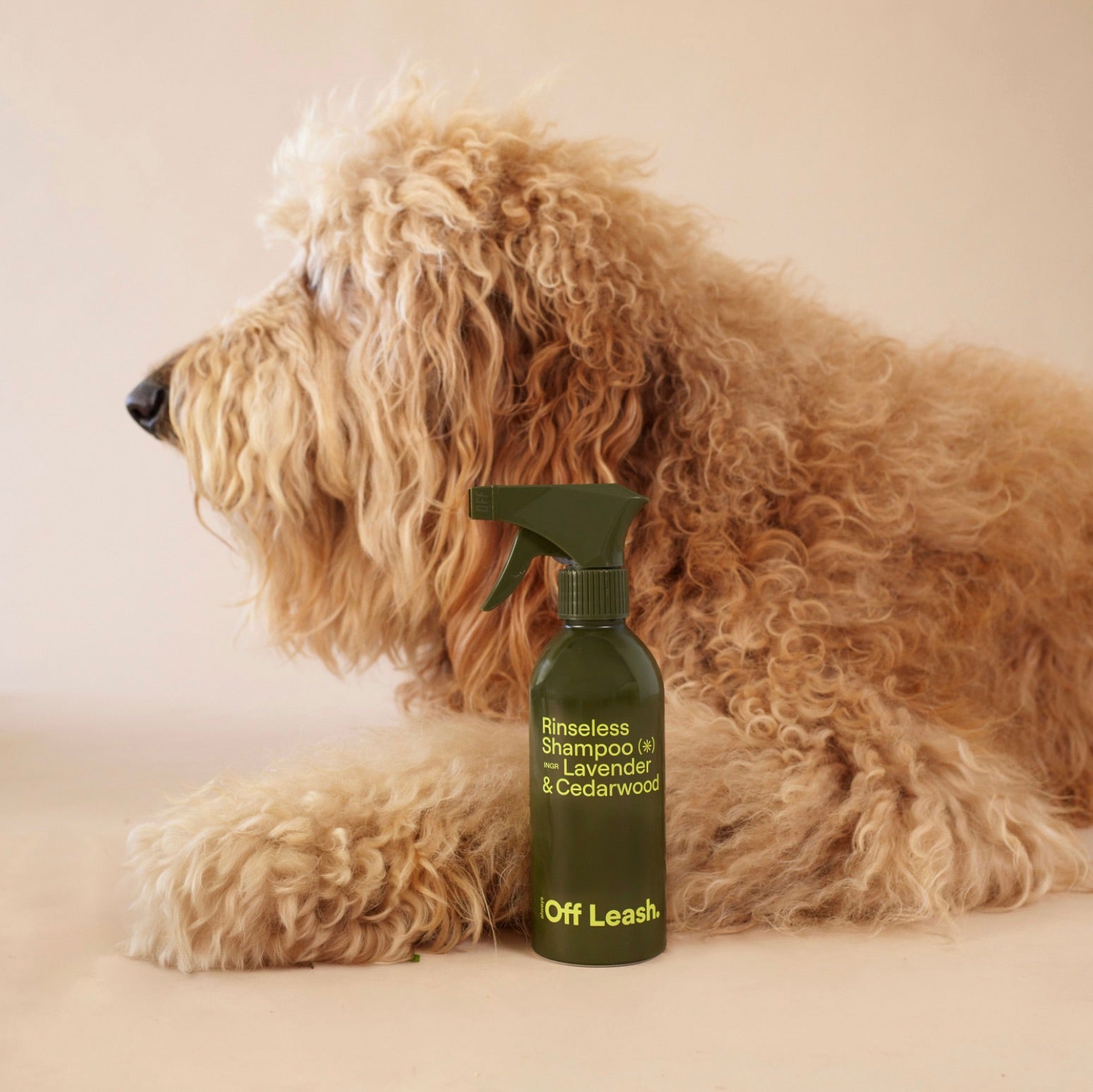 Rinseless Shampoo PDP 03